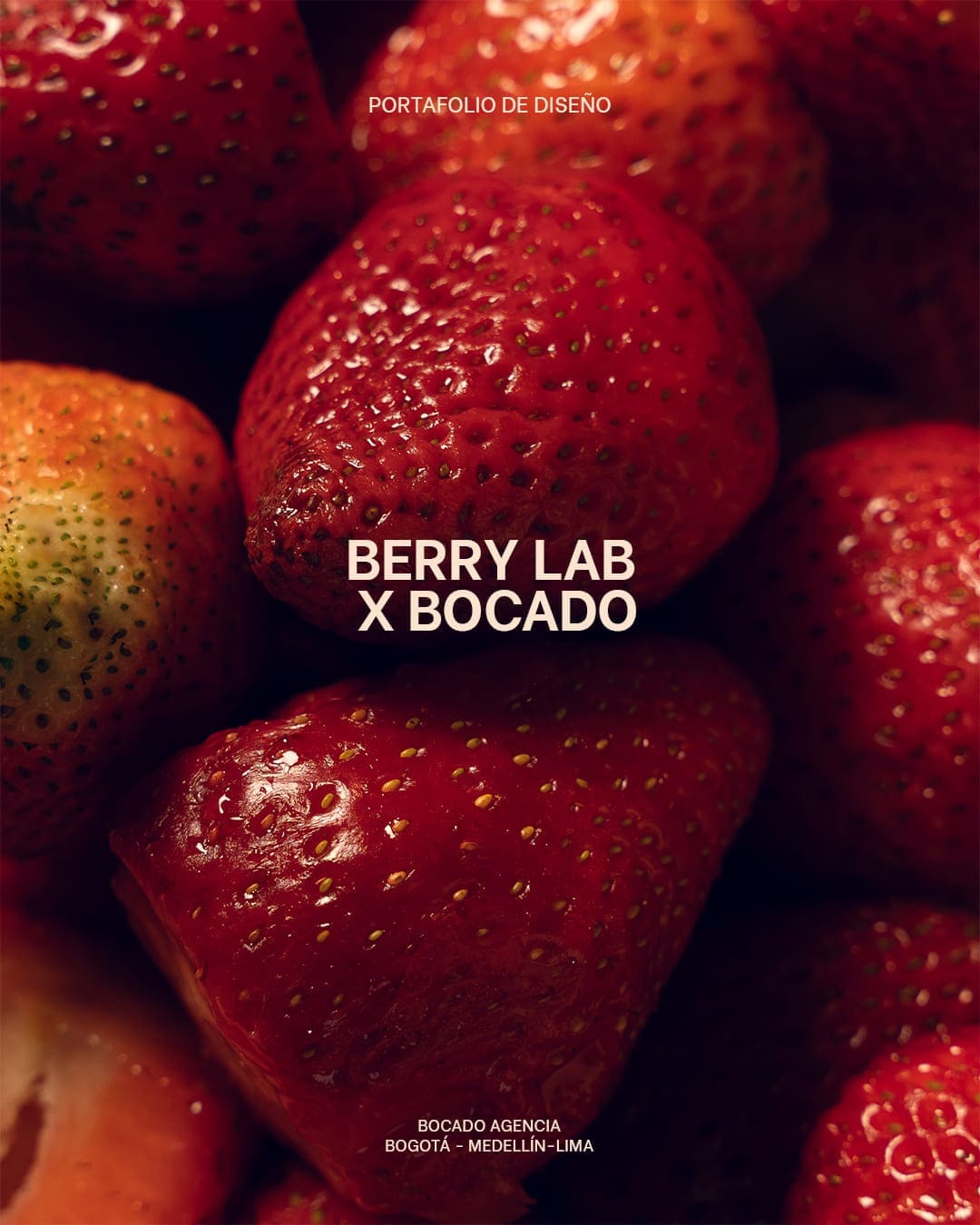 DISEÑO-BERRYLAB_01